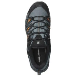 Scarpe Escursionismo Salomon X Ultra Pioneer Gtx Stormy Weather Black Turmeric -Camp Sconto 000e91e4ca3f45e3fe246c9ebf59cee23bddeeb9 E23SALOCHA3362740 7