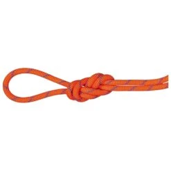 Corde Mammut 7.5 Alpine Sender Dry Rope Fire Blue