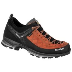 SALEWA MTN Trainer 2 GTX Autumnal Black
