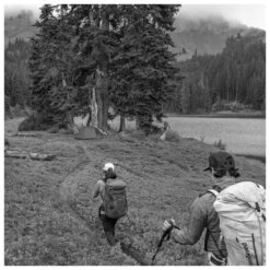 Tende Msr Gear Freelite 2 Tan -Camp Sconto 688d96725637a71da7dc8806539d54f354e4b168 E23MSRGBIV381888 MSRG0731168 908