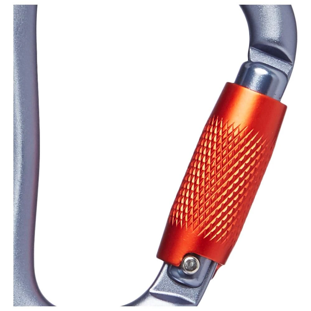 Moschettoni Black Diamond Rocklock Twistlock Gray 2 Moschettoni Black Diamond Rocklock Twistlock Gray - immagine 2