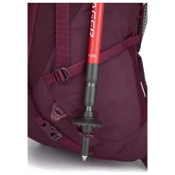 Zaino Lowe Alpine Cholatse Nd40:45 Fig -Camp Sconto bd094f93f056c106694f59762fdc5f99ada129c1 E23LOWEACC3371124 904