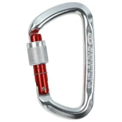 Moschettoni Climbing Technology D-Shape SG
