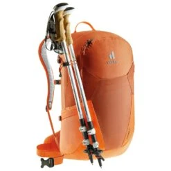 Zaino Deuter Futura 23L Chestnut Mandarine -Camp Sconto d85878e96528ef21d5cc5643c4dedee08d6387b1 H22DEUTACC187011 DEUT0712301 905