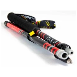 Bastoncini Guidetti Silver Aéro Alu Noir Rouge 16 Bastoncini Guidetti Silver Aéro Alu Noir Rouge -Camp Sconto dea20eb02a6b671805622b4f26d9e8f7cbd31fe2 E23GUIDBAT3379028 904