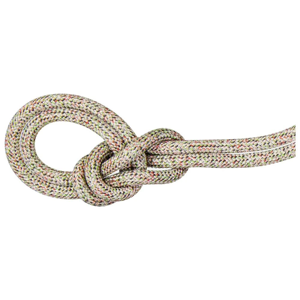 Corde Mammut 9.5 Crag We Care Classic Assorted 1 Corde Mammut 9.5 Crag We Care Classic Assorted