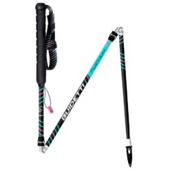 Bastoncini Guidetti Platinium Aero Carbone Pulse Noir Turquoise 10 Bastoncini Guidetti Platinium Aero Carbone Pulse Noir Turquoise -Camp Sconto f661e726863bb77ec8f4fd81fe68a56c71848365 E23GUIDBAT3379023 901